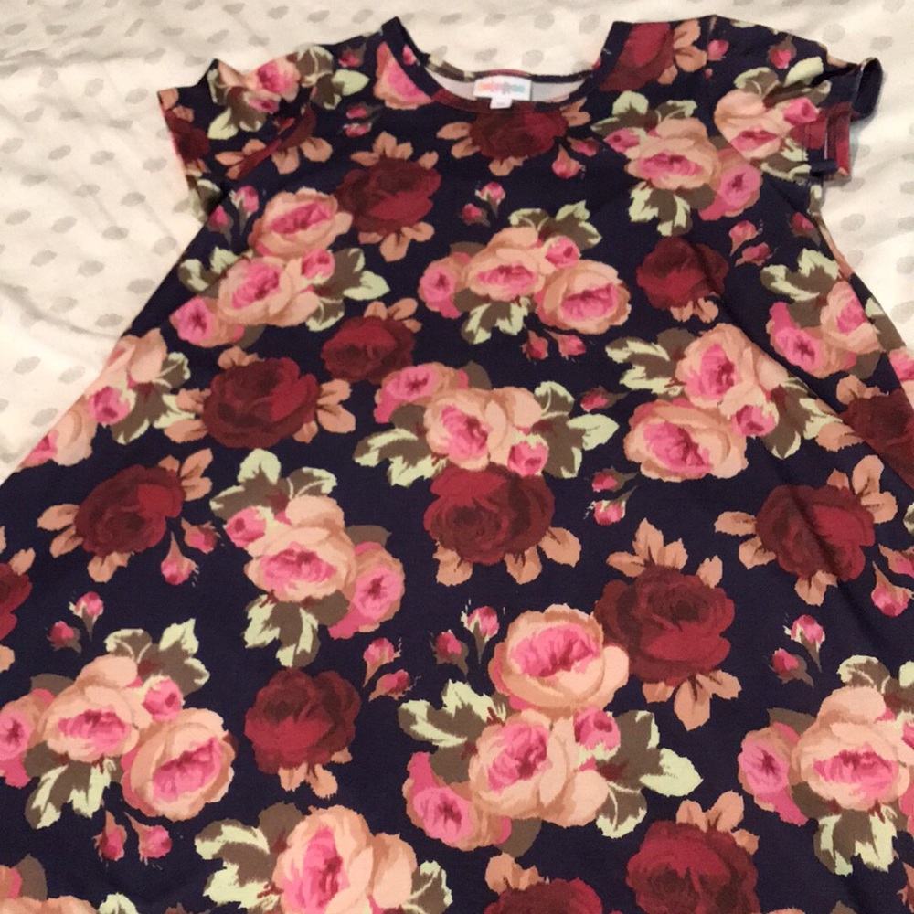 LuLaRoe Scarlett size 10